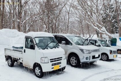 Newfoundland used cars lined up at a dealership for sale
